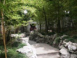 shanghai bamboo