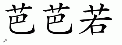 Chinese Name for Barbaro 