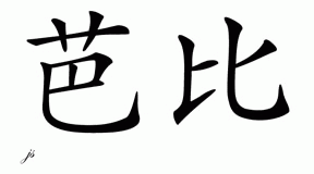 Chinese Name for Bobbi 