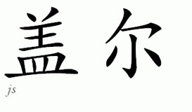 Chinese Name for Gal 