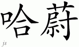 Chinese Name for Howy 