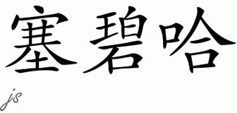 Chinese Name for Sabiha 