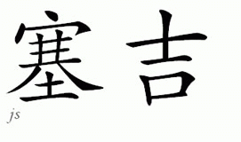 Chinese Name for Sergi 