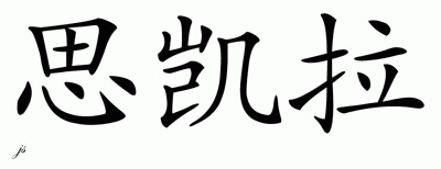 Chinese Name for Skyla 