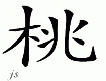 Chinese Name for Tao 