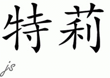 Chinese Name for Teri 