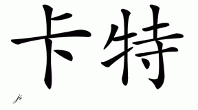 Chinese Name for Carter 