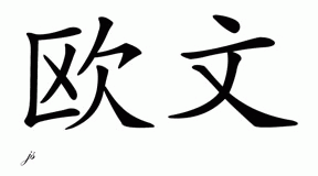 Chinese Name for Erwin 