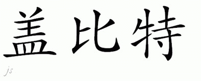 Chinese Name for Gambit 
