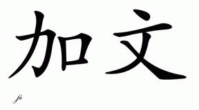 Chinese Name for Gaven 
