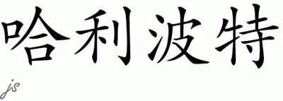 Chinese Name for Harry Potter 