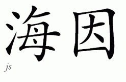Chinese Name for Hein 