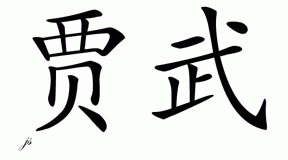 Chinese Name for Javu 