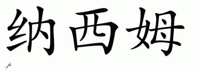 Chinese Name for Nassim 