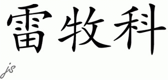 Chinese Name for Remco 