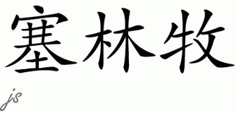 Chinese Name for Selim 