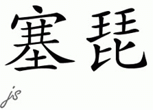 Chinese Name for Seppe 