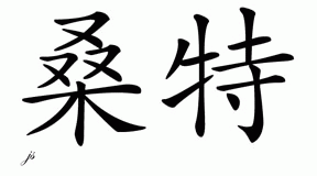 Chinese Name for Sonte 