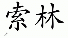 Chinese Name for Sorin 