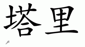 Chinese Name for Tareo 