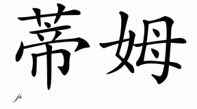 Chinese Name for Tim 