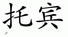 Chinese Name for Tobyn 