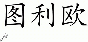 Chinese Name for Tullio 