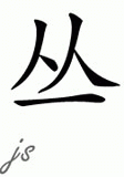 Chinese Name for Cong 