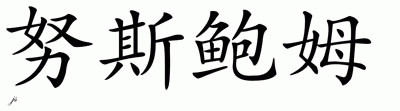 Chinese Name for Nusbaum 