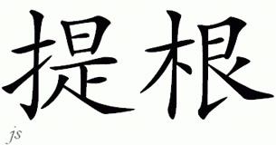 Chinese Name for Tegen 