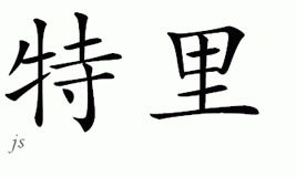 Chinese Name for Terry 