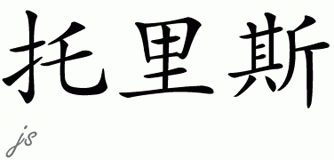 Chinese Name for Torres 