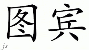 Chinese Name for Tubin 