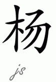 Chinese Name for Young 