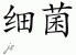 Chinese Characters for Bacteria 