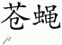 Chinese Characters for Fly 