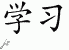 Chinese Characters for Learn 