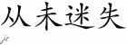 Chinese Characters for Never Lost 