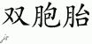 Chinese Characters for Twin 