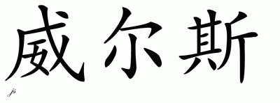 Chinese Name for Wills 